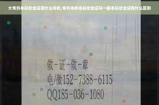 大专升本科毕业证是什么样的,专升本的本科毕业证与一般本科毕业证有什么区别