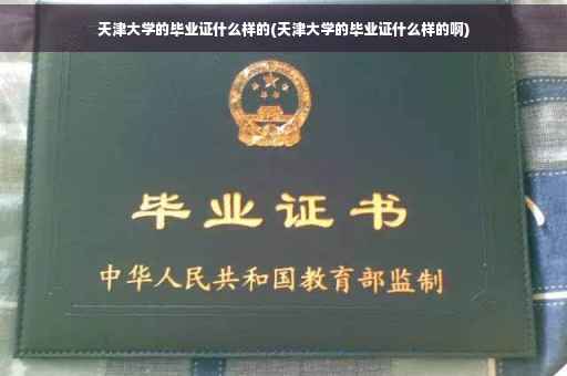 天津大学的毕业证什么样的(天津大学的毕业证什么样的啊)