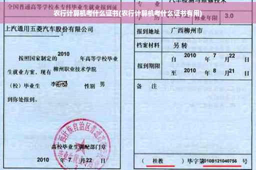 农行计算机考什么证书(农行计算机考什么证书有用)