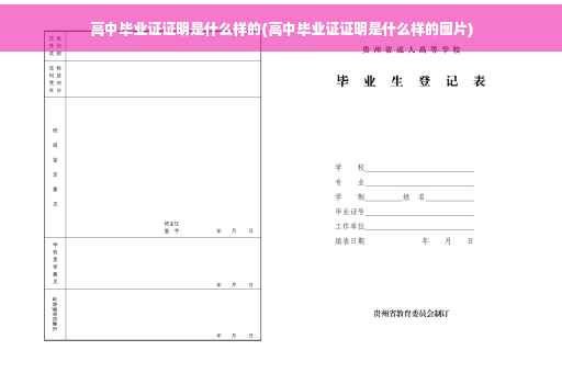 高中毕业证证明是什么样的(高中毕业证证明是什么样的图片)