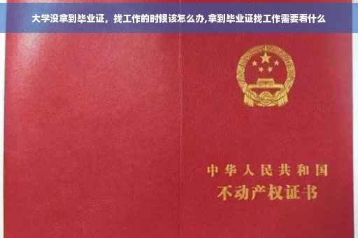 大学没拿到毕业证，找工作的时候该怎么办,拿到毕业证找工作需要看什么
