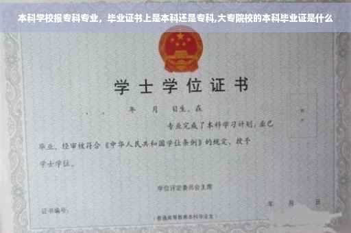 本科学校报专科专业，毕业证书上是本科还是专科,大专院校的本科毕业证是什么