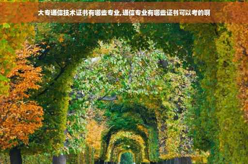 大专通信技术证书有哪些专业,通信专业有哪些证书可以考的啊