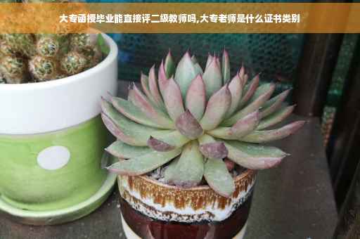 大专函授毕业能直接评二级教师吗,大专老师是什么证书类别 大专函授毕业能直接评二级教师吗,大专老师是什么证书类别