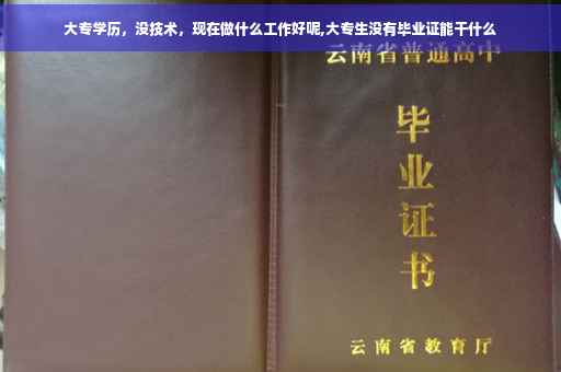 大专学历，没技术，现在做什么工作好呢,大专生没有毕业证能干什么