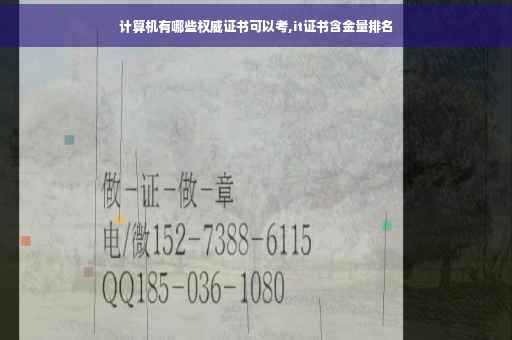 计算机有哪些权威证书可以考,it证书含金量排名