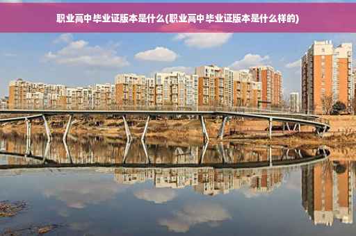 职业高中毕业证版本是什么(职业高中毕业证版本是什么样的)