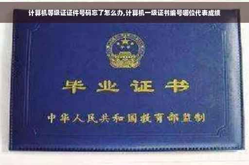 计算机等级证证件号码忘了怎么办,计算机一级证书编号哪位代表成绩