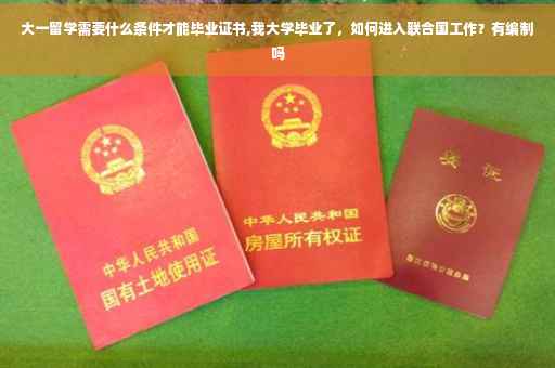 大一留学需要什么条件才能毕业证书,我大学毕业了，如何进入联合国工作？有编制吗