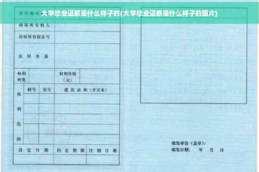 大学毕业证都是什么样子的(大学毕业证都是什么样子的图片)
