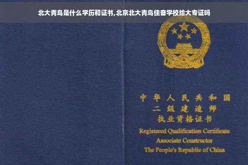 北大青鸟是什么学历和证书,北京北大青鸟佳音学校给大专证吗