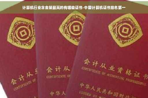 计算机行业含金量最高的有哪些证书-中国计算机证书排名第一
