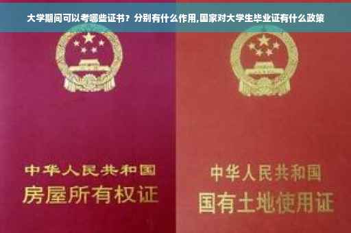 大学期间可以考哪些证书？分别有什么作用,国家对大学生毕业证有什么政策