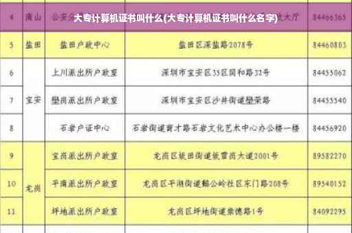 大专计算机证书叫什么(大专计算机证书叫什么名字)