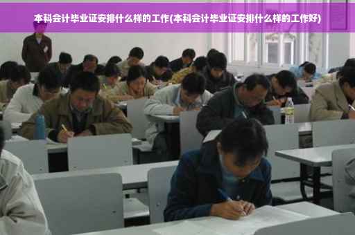 本科会计毕业证安排什么样的工作(本科会计毕业证安排什么样的工作好)