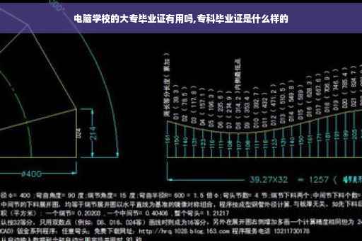 电脑学校的大专毕业证有用吗,专科毕业证是什么样的