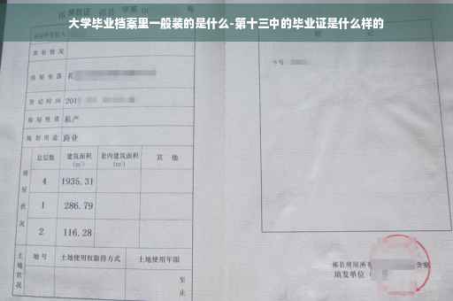 大学毕业档案里一般装的是什么-第十三中的毕业证是什么样的
