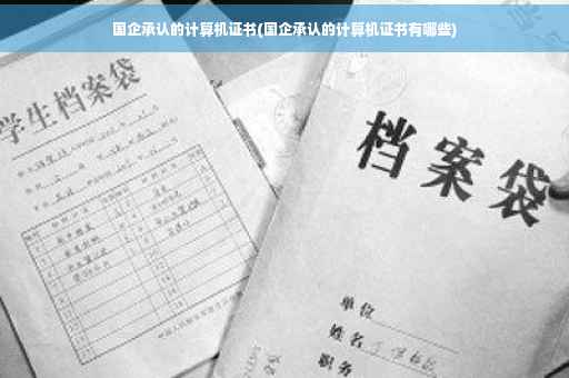国企承认的计算机证书(国企承认的计算机证书有哪些)