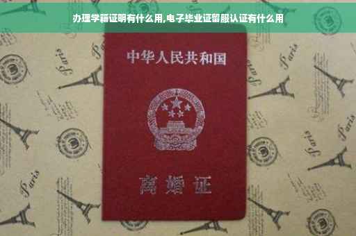办理学籍证明有什么用,电子毕业证留服认证有什么用