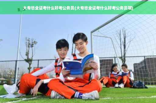 大专毕业证考什么好考公务员(大专毕业证考什么好考公务员呢)