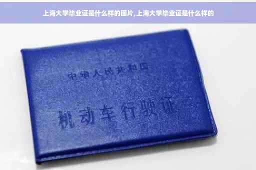 上海大学毕业证是什么样的图片,上海大学毕业证是什么样的