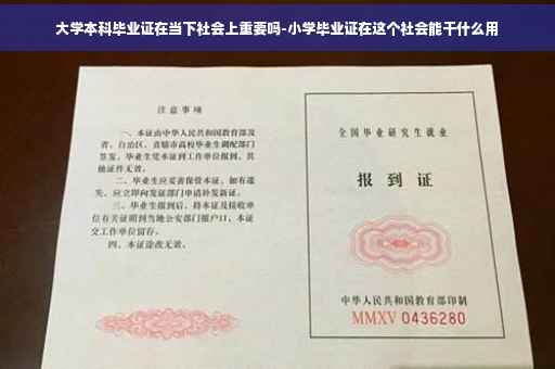大学本科毕业证在当下社会上重要吗-小学毕业证在这个社会能干什么用