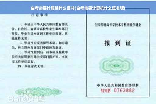 自考需要计算机什么证书(自考需要计算机什么证书呢)