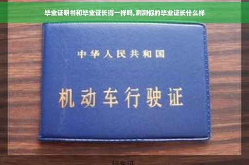 毕业证明书和毕业证长得一样吗,测测你的毕业证长什么样