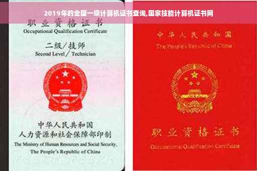 2019年的全国一级计算机证书查询,国家技能计算机证书网