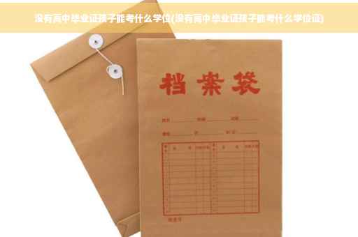 没有高中毕业证孩子能考什么学位(没有高中毕业证孩子能考什么学位证)