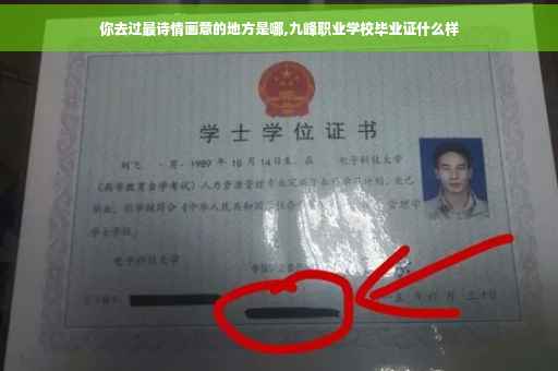 你去过最诗情画意的地方是哪,九峰职业学校毕业证什么样