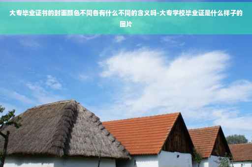 大专毕业证书的封面颜色不同各有什么不同的含义吗-大专学校毕业证是什么样子的图片