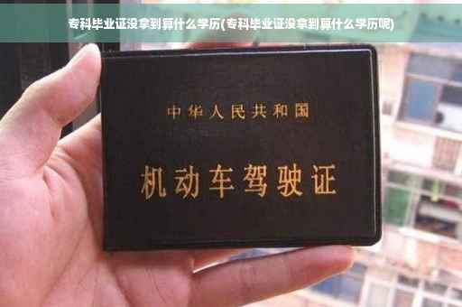 专科毕业证没拿到算什么学历(专科毕业证没拿到算什么学历呢)
