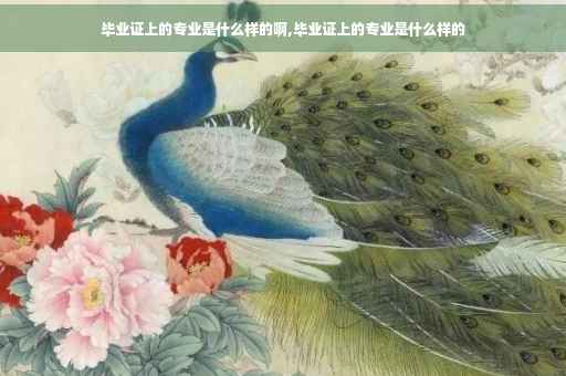 毕业证上的专业是什么样的啊,毕业证上的专业是什么样的