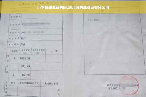 小学有毕业证书吗,幼儿园的毕业证有什么用