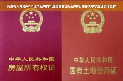 有没有人知道ACIC这个证书的？这是真的国际证书吗,耶鲁大学毕业证长什么样