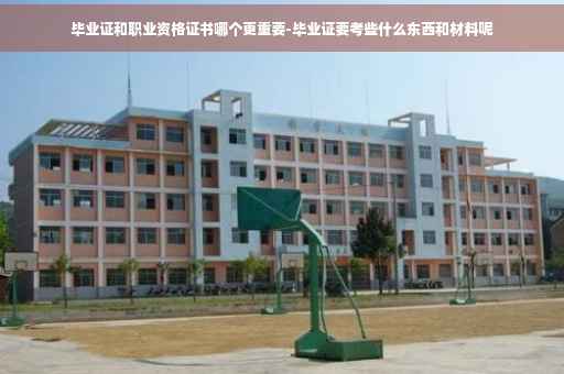 毕业证和职业资格证书哪个更重要-毕业证要考些什么东西和材料呢
