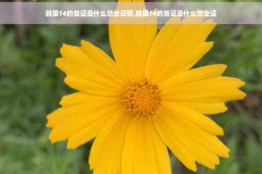 韩国f4的签证是什么毕业证啊,韩国f4的签证是什么毕业证