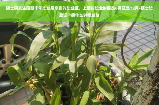 硕士研究生延期半年毕业后拿到的毕业证，上面的毕业时间是6月还是12月-硕士毕业证一般什么时候发放