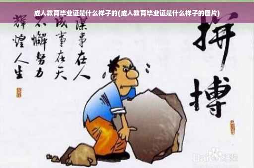 成人教育毕业证是什么样子的(成人教育毕业证是什么样子的图片)