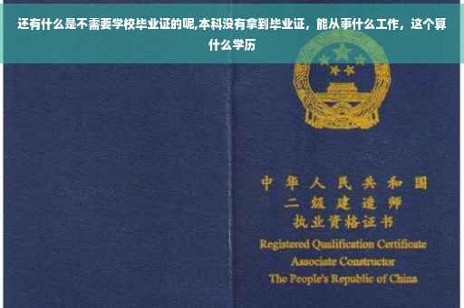 还有什么是不需要学校毕业证的呢,本科没有拿到毕业证，能从事什么工作，这个算什么学历