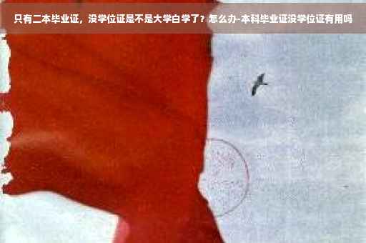只有二本毕业证，没学位证是不是大学白学了？怎么办-本科毕业证没学位证有用吗