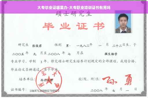 大专毕业证哪里办-大专职业培训证书有用吗