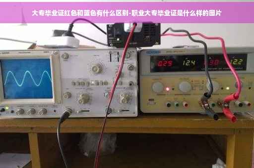大专毕业证红色和蓝色有什么区别-职业大专毕业证是什么样的图片