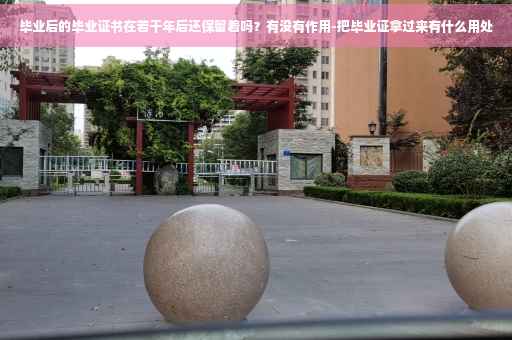 毕业后的毕业证书在若干年后还保留着吗？有没有作用-把毕业证拿过来有什么用处