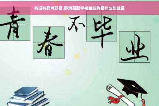 有没有野鸡职高,野鸡高职学校给发的是什么毕业证