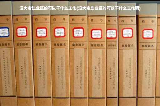 没大专毕业证的可以干什么工作(没大专毕业证的可以干什么工作呢)