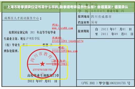 上海市跆拳道级位证书是什么样的,跆拳道考级证书什么样？由哪里发？哪里承认