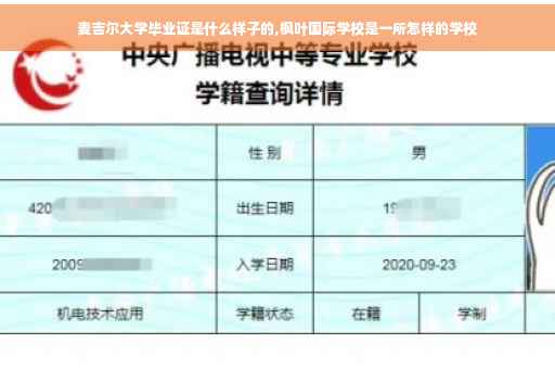麦吉尔大学毕业证是什么样子的,枫叶国际学校是一所怎样的学校