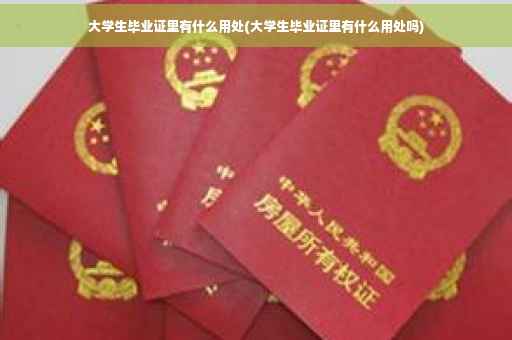 大学生毕业证里有什么用处(大学生毕业证里有什么用处吗)